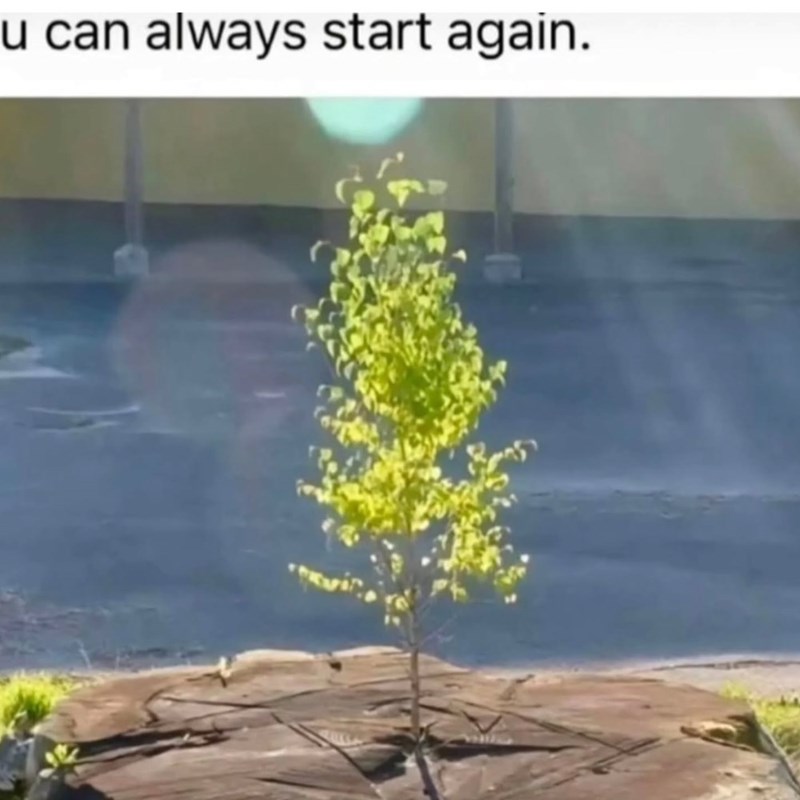 u can always start again.