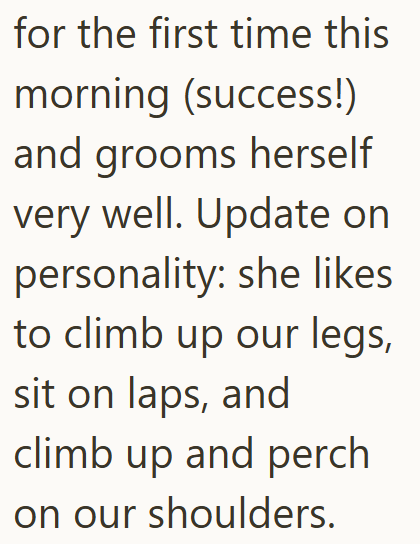 for the first time this morning (success!) and grooms herself very well. Update on personality: she likes to climb up our legs, sit on laps, and climb up and perch on our shoulders.