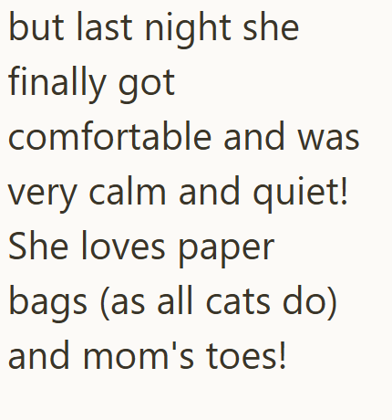 but last night she finally got comfortable and was very calm and quiet! She loves paper bags (as all cats do) and mom's toes!