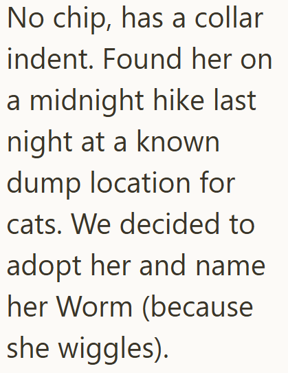 No chip, has a collar indent. Found her on a midnight hike last night at a known dump location for cats. We decided to adopt her and name her Worm (because she wiggles).