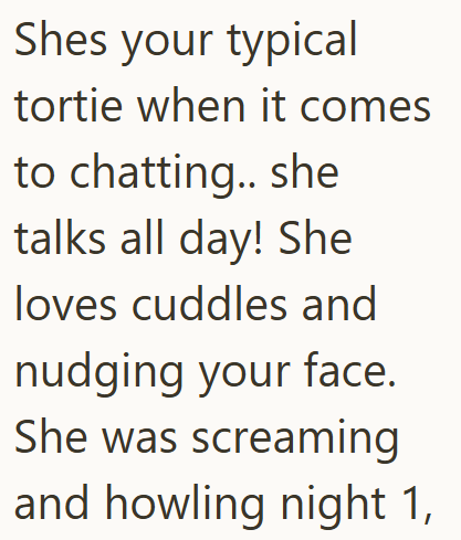 Shes your typical tortie when it comes to chatting.. she talks all day! She loves cuddles and nudging your face. She was screaming and howling night 1,