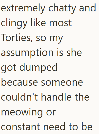 extremely chatty and clingy like most Torties, so my assumption is she got dumped because someone couldn't handle the meowing or constant need to be