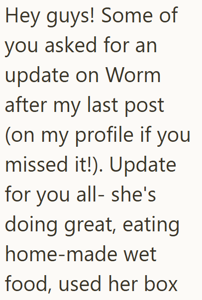Hey guys! Some of you asked for an update on Worm after my last post (on my profile if you missed it!). Update for you all- she's doing great, eating home-made wet food, used her box