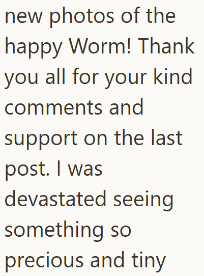 new photos of the happy Worm! Thank you all for your kind comments and support on the last post. I was devastated seeing something so precious and tiny