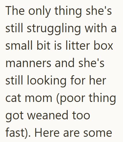 The only thing she's still struggling with a small bit is litter box manners and she's still looking for her cat mom (poor thing got weaned too fast). Here are some
