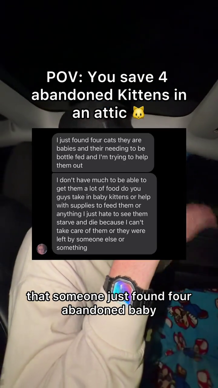 POV: You save 4 abandoned Kittens in an attic I just found four cats they are babies and their needing to be bottle fed and I'm trying to help them out I don't have much to be able to get them a lot of food do you guys take in baby kittens or help with supplies to feed them or anything I just hate to see them starve and die because I can't take care of them or they were left by someone else or something that someone just found four abandoned baby