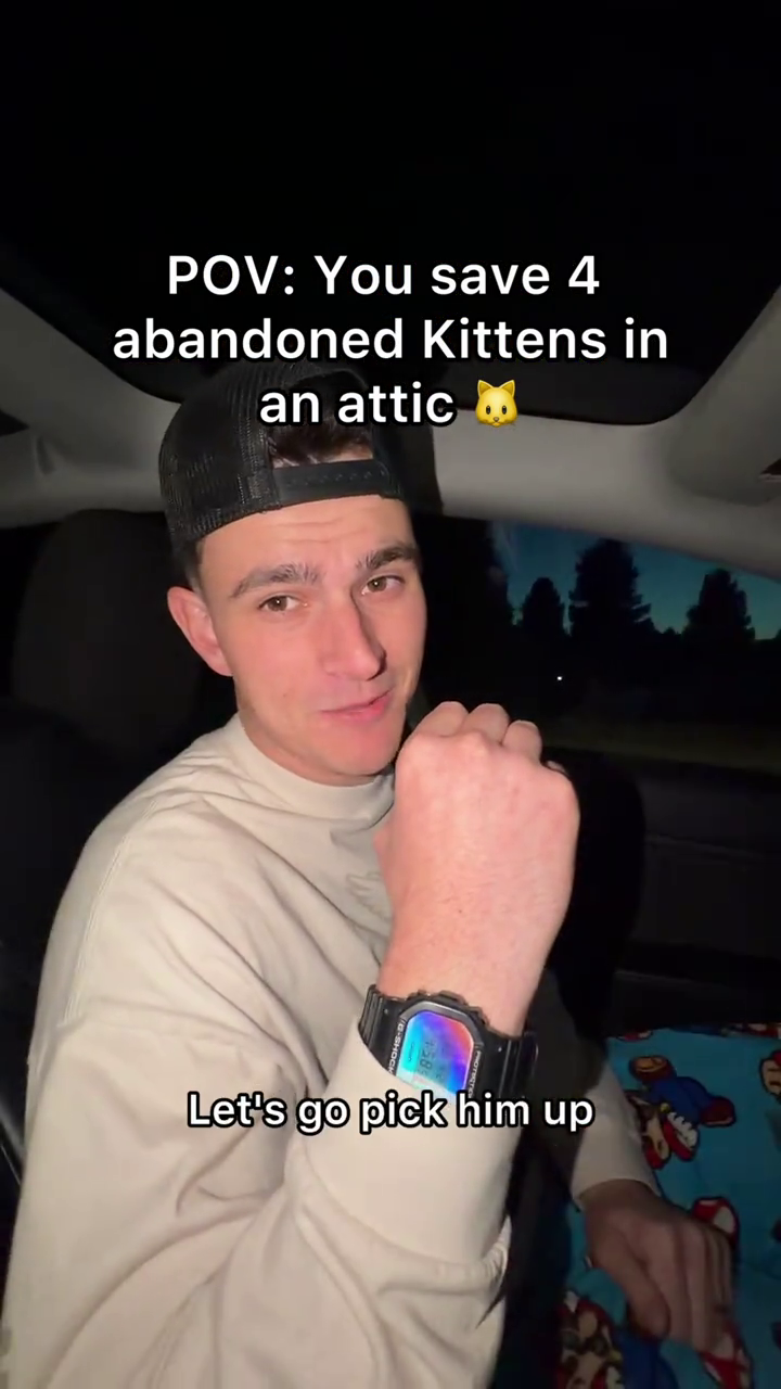 POV: You save 4 abandoned Kittens in an attic Let's go pick him up