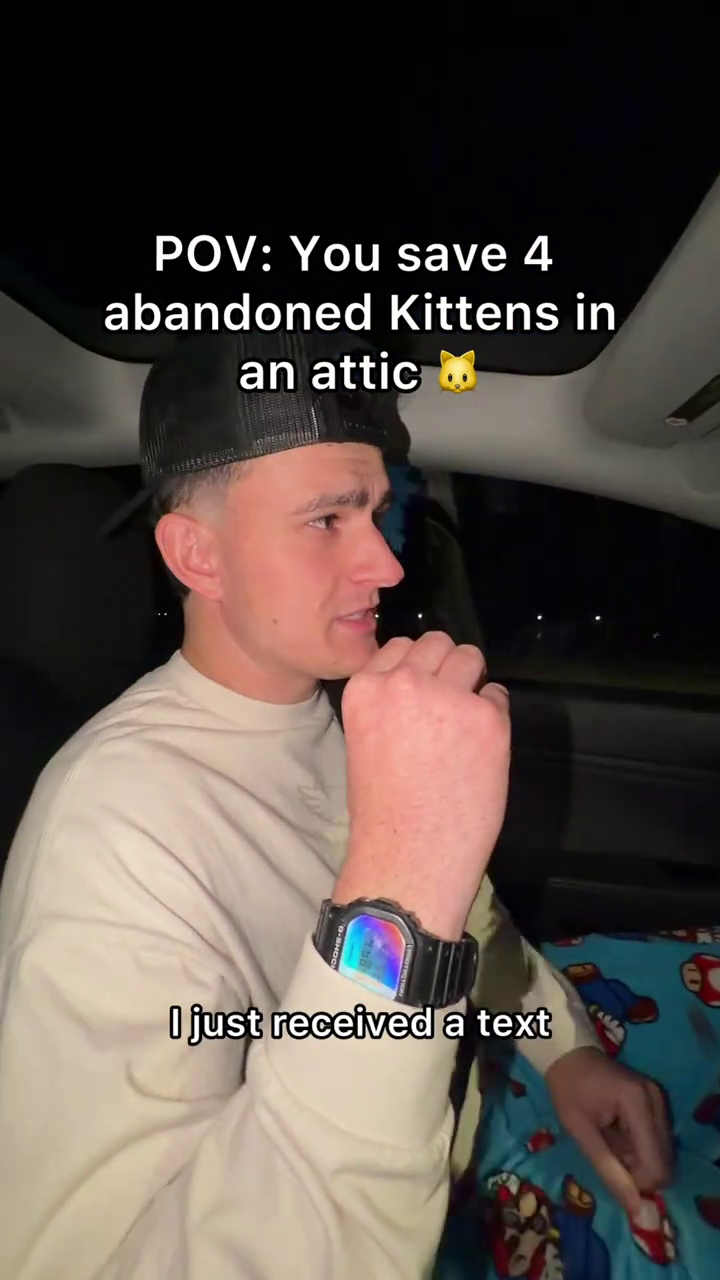 POV: You save 4 abandoned Kittens in an attic I just received a text