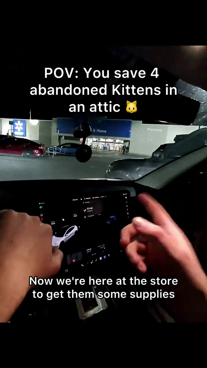 E POV: You save 4 abandoned Kittens in an attic & 12 + 0.1ml & Home Pharmacy Now we're here at the store to get them some supplies