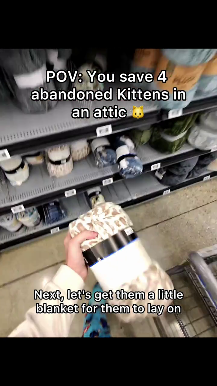 POV: You save 4 abandoned Kittens in an attic Next, let's get them a little blanket for them to lay on
