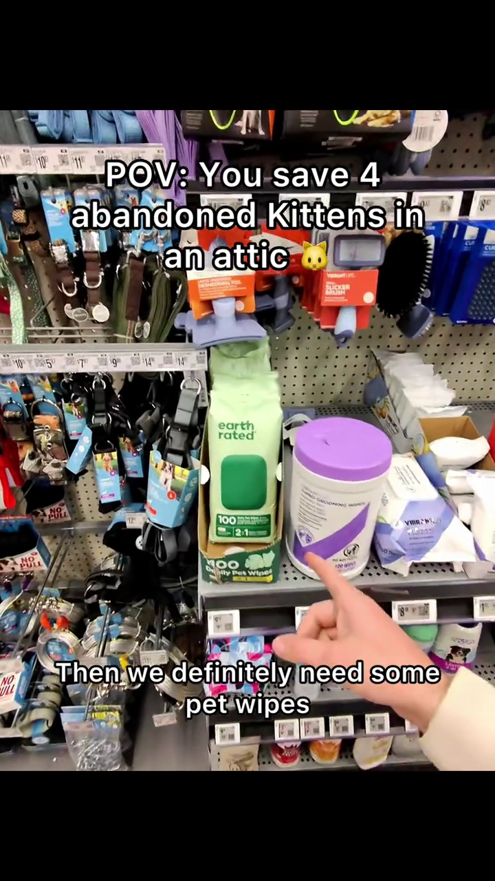POV: You save 4 abandoned Kittens in an attic 10579 14" NO PULL earth rated 100 21 200 lly Pet Wipes Mains VIBR NO Then we definitely need some pet wipes