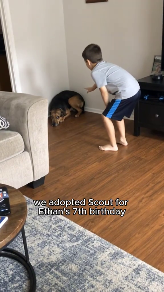 we adopted Scout for Ethan's 7th birthday