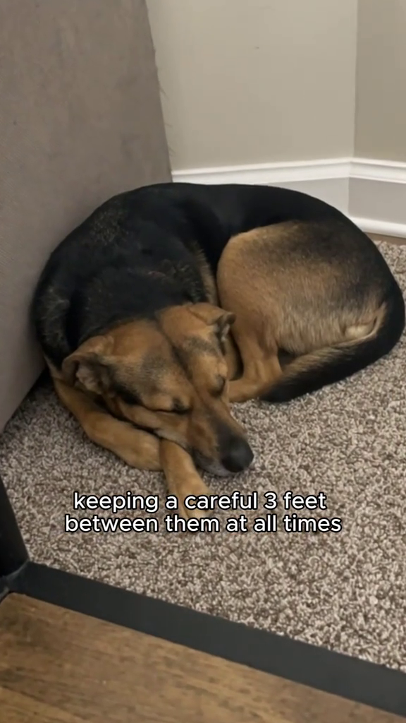 keeping a careful 3 feet between them at all times