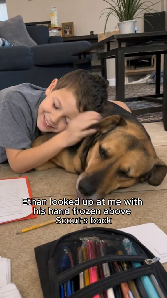 Ethan looked up at me with his hand frozen above Scout's back