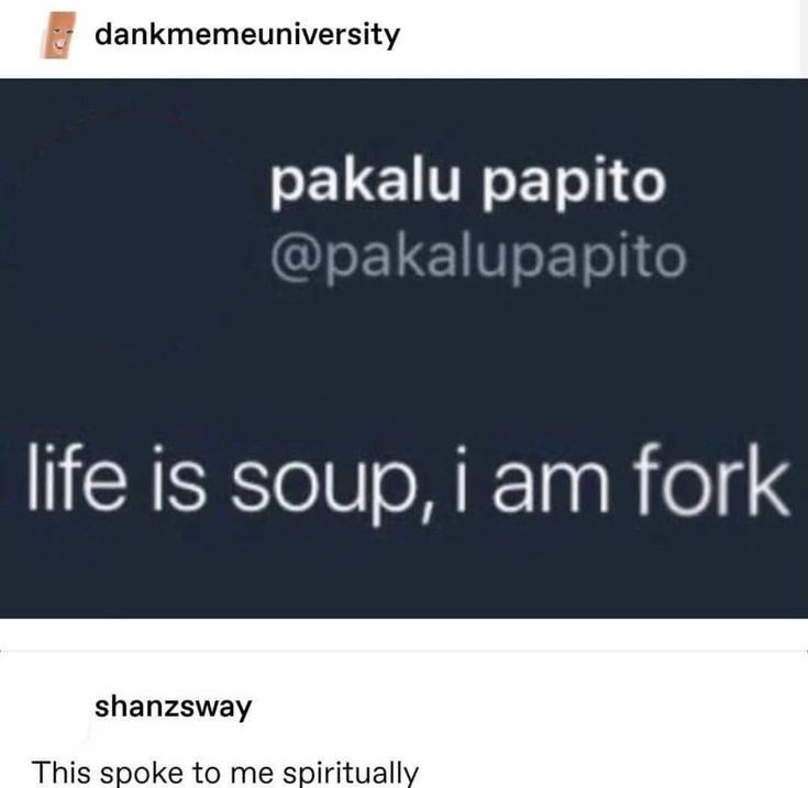 dankmemeuniversity pakalu papito @pakalupapito life is soup, i am fork shanzsway This spoke to me spiritually