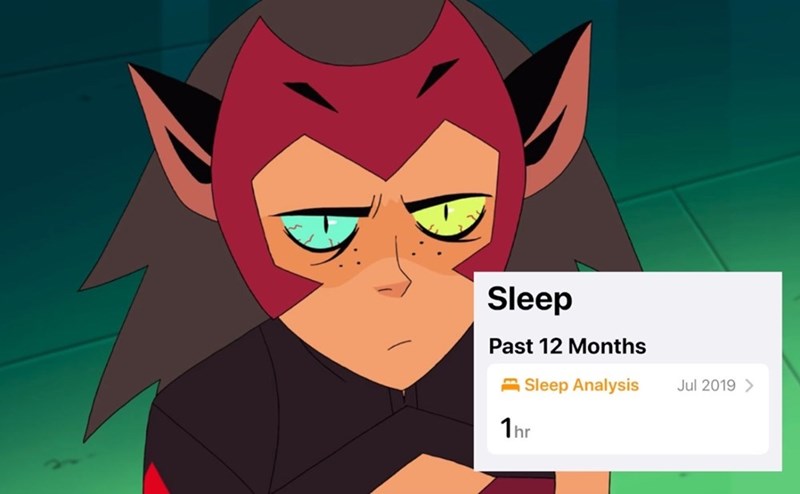 Sleep Past 12 Months Sleep Analysis 1hr Jul 2019 >