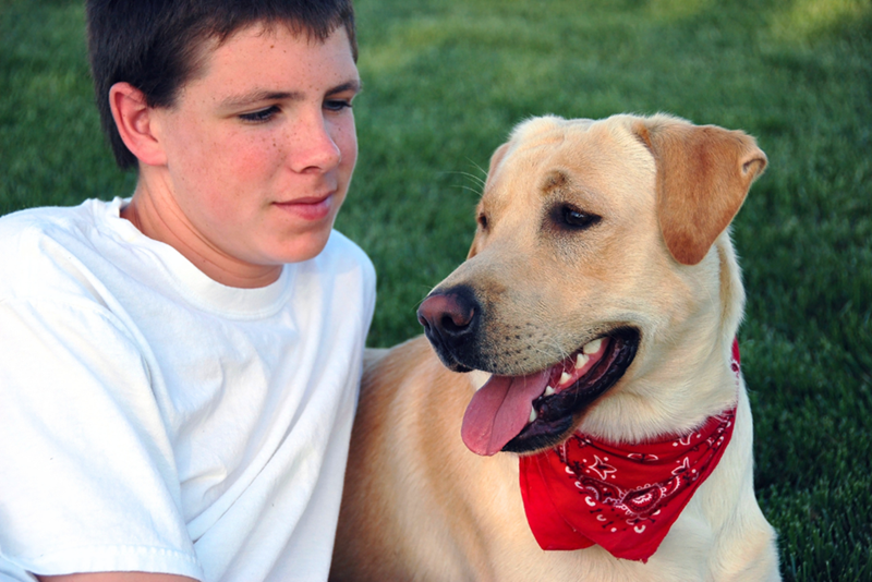 A teenage boy is sitting next to a yellow Labrador on the grass in a park.