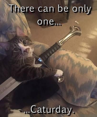 There can be only one.... Caturday.