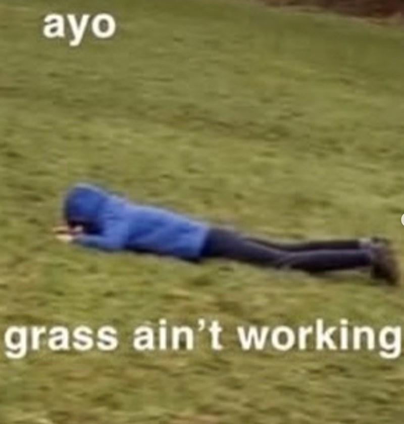 ayo grass ain't working