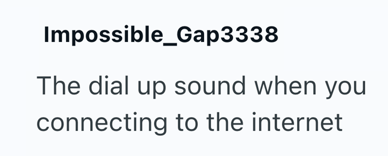 Impossible_Gap3338 The dial up sound when you connecting to the internet