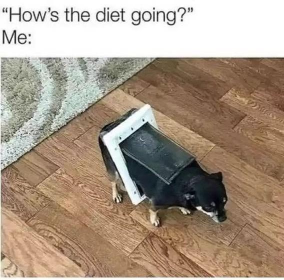 "How's the diet going?" Me: