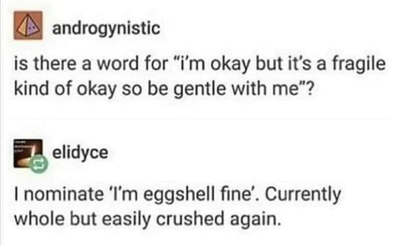 androgynistic is there a word for "i'm okay but it's a fragile kind of okay so be gentle with me"? elidyce I nominate 'I'm eggshell fine'. Currently whole but easily crushed again.