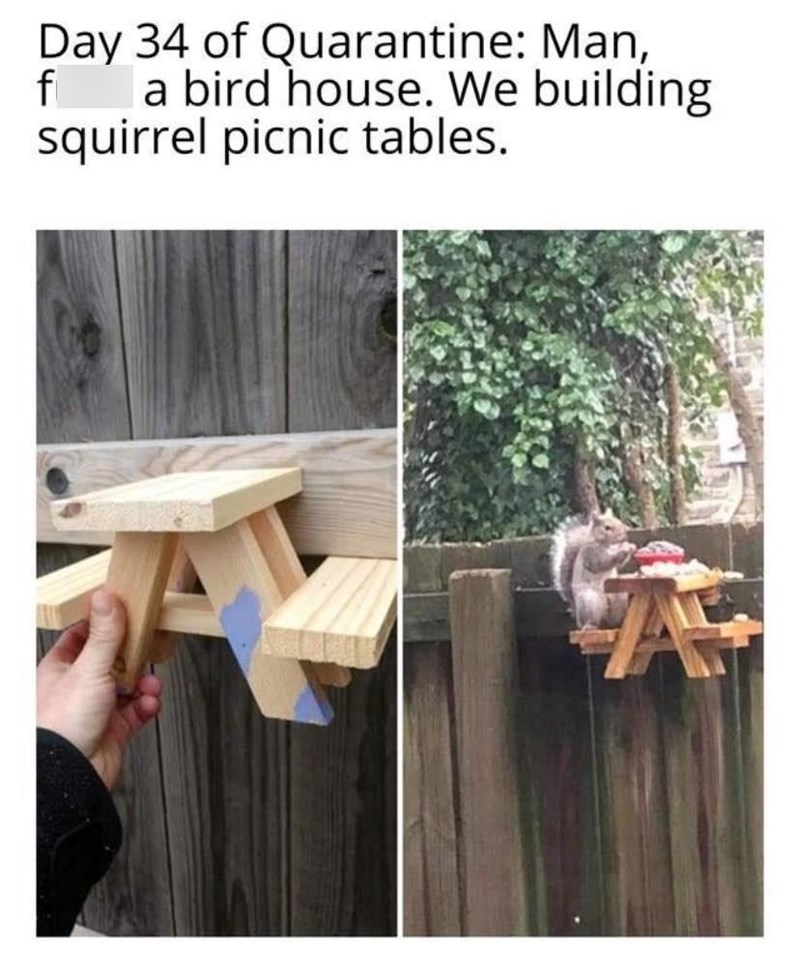 Day 34 of Quarantine: Man, f a bird house. We building squirrel picnic tables. A