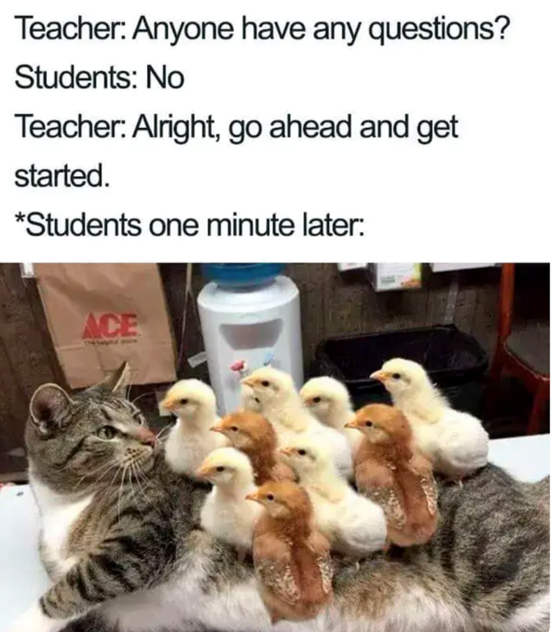 Teacher: Anyone have any questions? Students: No Teacher: Alright, go ahead and get started. *Students one minute later: ACE