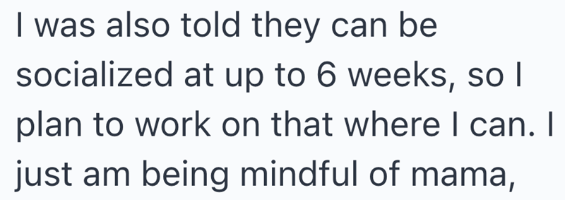 I was also told they can be socialized at up to 6 weeks, so I plan to work on that where I can. I just am being mindful of mama,