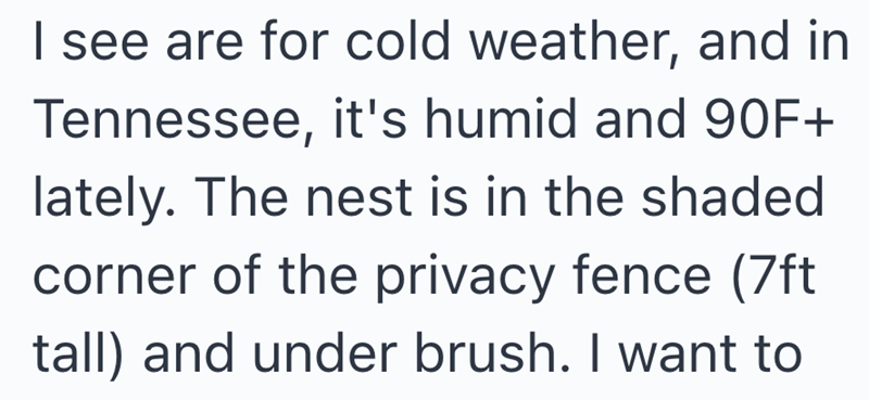 I see are for cold weather, and in Tennessee, it's humid and 90F+ lately. The nest is in the shaded corner of the privacy fence (7ft tall) and under brush. I want to