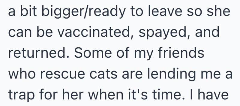 a bit bigger/ready to leave so she can be vaccinated, spayed, and returned. Some of my friends who rescue cats are lending me a trap for her when it's time. I have