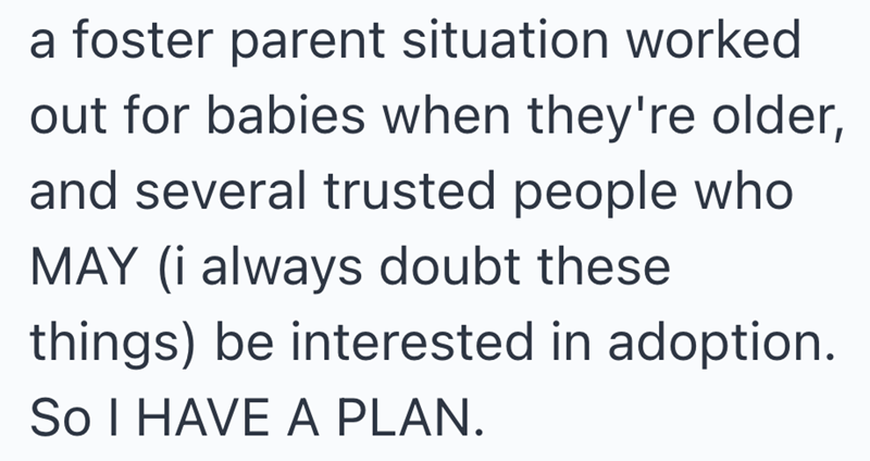 a foster parent situation worked out for babies when they're older, and several trusted people who MAY (i always doubt these things) be interested in adoption. So I HAVE A PLAN.