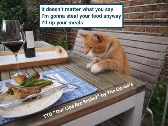 It doesn't matter what you say I'm gonna steal your food anyway I'll rip your meals TTO "Our Lips Are Sealed" by The Go-Go's
