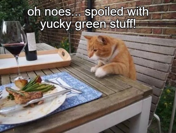 oh noes... spoiled with yucky green stuff!