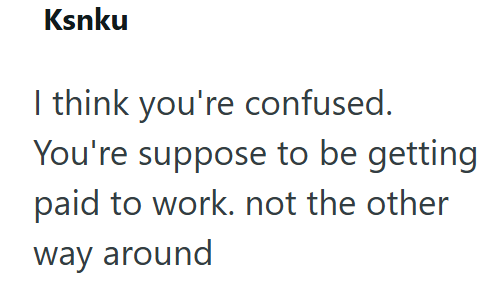 Ksnku I think you're confused. You're suppose to be getting paid to work. not the other way around