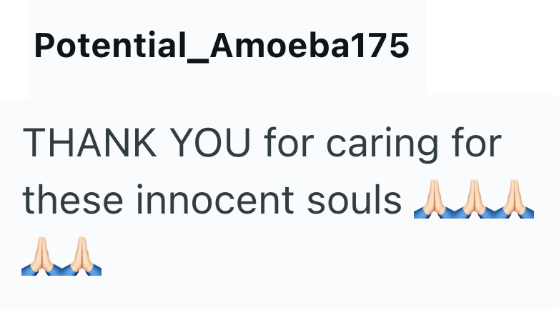 Potential_Amoeba175 THANK YOU for caring for these innocent souls MA