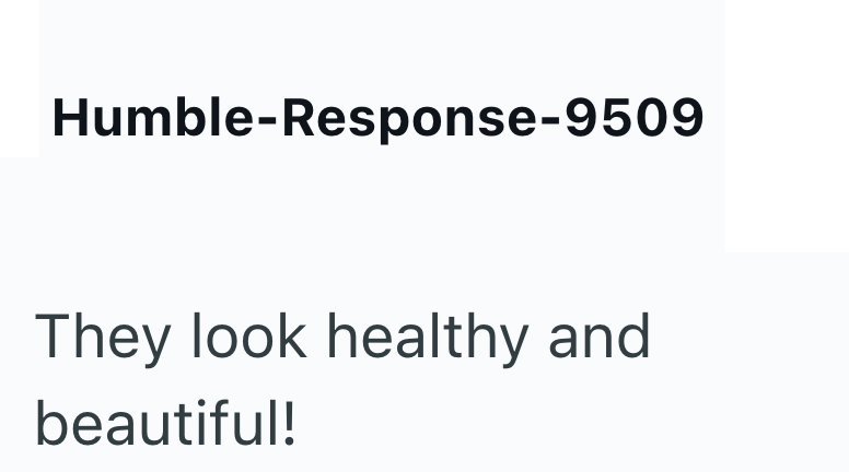 Humble-Response-9509 They look healthy and beautiful!