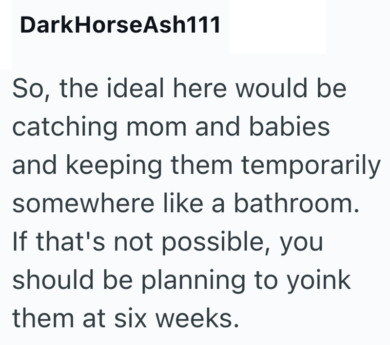 DarkHorseAsh111 So, the ideal here would be catching mom and babies and keeping them temporarily somewhere like a bathroom. If that's not possible, you should be planning to yoink them at six weeks.