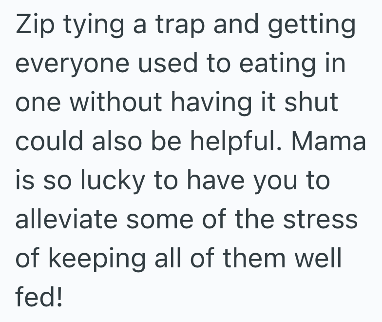 Zip tying a trap and getting everyone used to eating in one without having it shut could also be helpful. Mama is so lucky to have you to alleviate some of the stress of keeping all of them well fed!