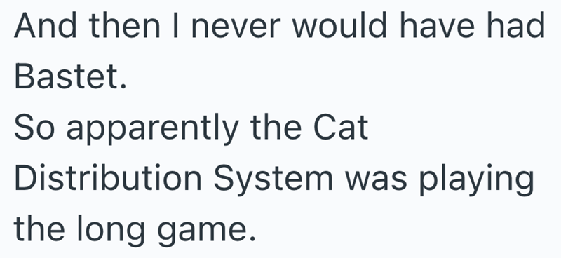 And then I never would have had Bastet. So apparently the Cat Distribution System was playing the long game.