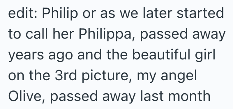 edit: Philip or as we later started to call her Philippa, passed away years ago and the beautiful girl on the 3rd picture, my angel Olive, passed away last month