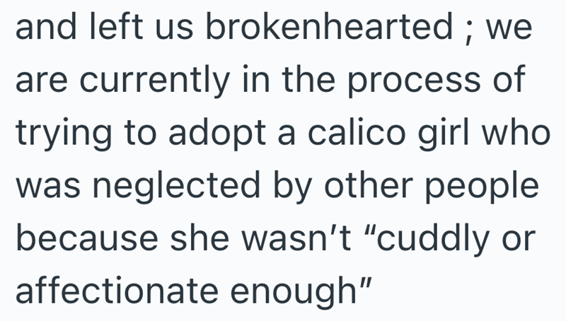 and left us brokenhearted; we are currently in the process of trying to adopt a calico girl who was neglected by other people because she wasn't "cuddly or affectionate enough"