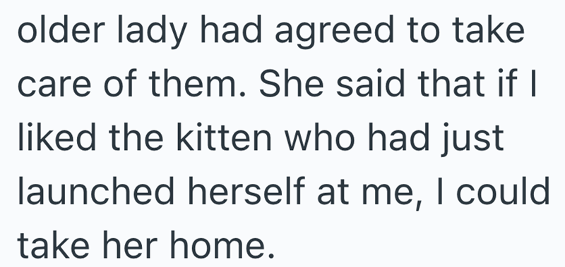 older lady had agreed to take care of them. She said that if I liked the kitten who had just launched herself at me, I could take her home.