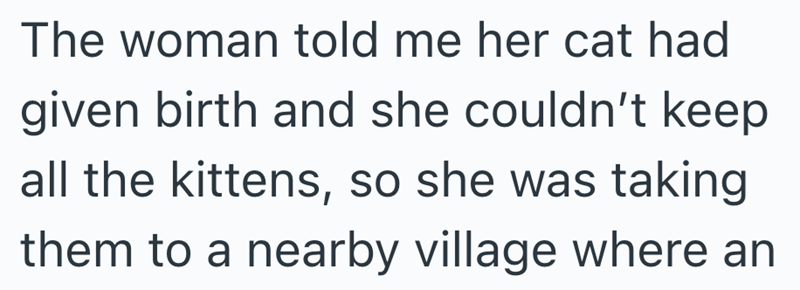 The woman told me her cat had given birth and she couldn't keep all the kittens, so she was taking them to a nearby village where an