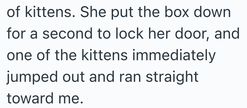 of kittens. She put the box down for a second to lock her door, and one of the kittens immediately jumped out and ran straight toward me.