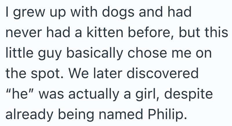 I grew up with dogs and had never had a kitten before, but this little guy basically chose me on the spot. We later discovered "he" was actually a girl, despite already being named Philip.
