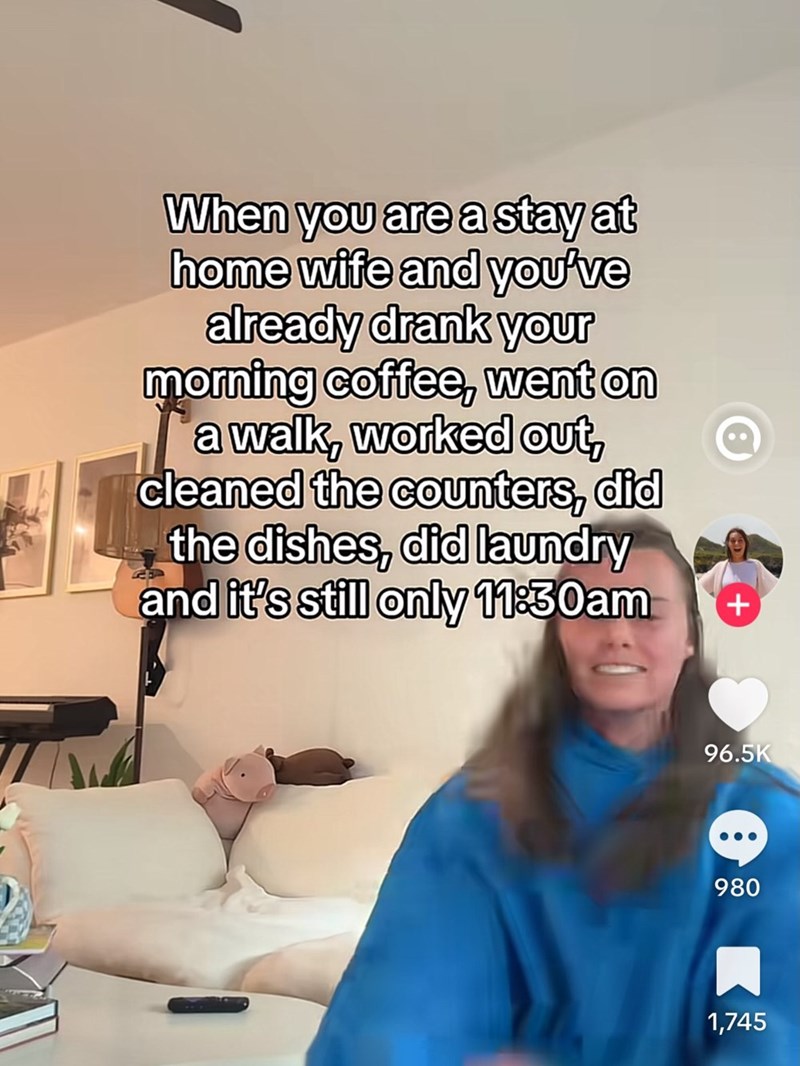 When you are a stay at home wife and you've already drank your morning coffee, went on a walk, worked out, cleaned the counters, did the dishes, did laundry and it's still only 11:30am + 96.5K 980 1,745