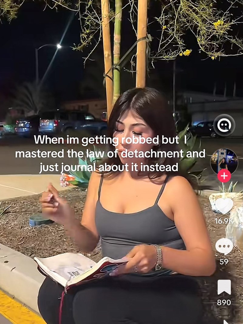 When im getting robbed but I mastered the law of detachment and just journal about it instead + 16.9K 59 890