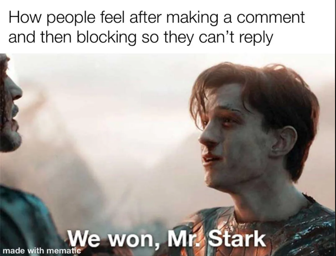 How people feel after making a comment and then blocking so they can't reply We won, Mr. Stark made with mematic