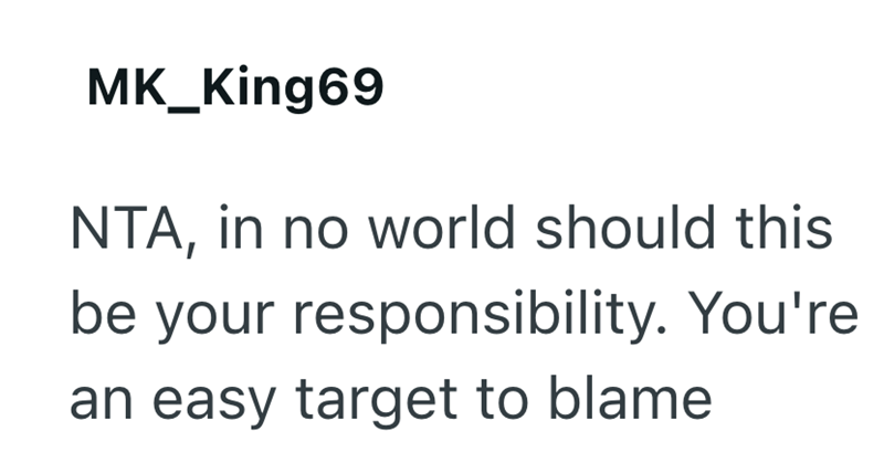 MK_King69 NTA, in no world should this be your responsibility. You're an easy target to blame